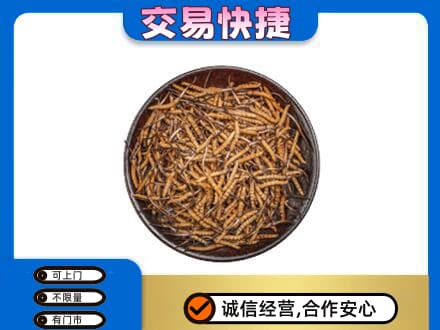 红花岗区礼品回收虫草.jpg